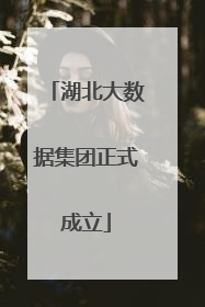湖北大数据集团正式成立