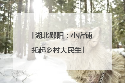 湖北郧阳：小店铺托起乡村大民生