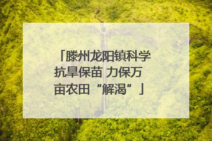 滕州龙阳镇科学抗旱保苗 力保万亩农田“解渴”