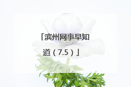 滨州网事早知道（7.5）