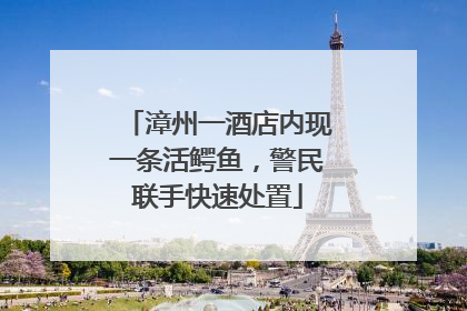 漳州一酒店内现一条活鳄鱼，警民联手快速处置