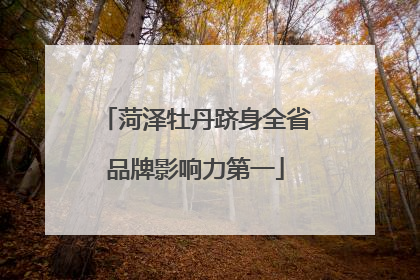 菏泽牡丹跻身全省品牌影响力第一