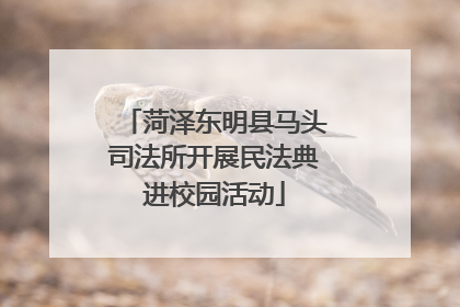 菏泽东明县马头司法所开展民法典进校园活动