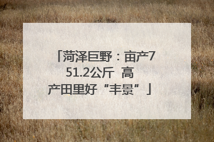 菏泽巨野：亩产751.2公斤  高产田里好“丰景”