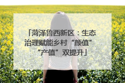 菏泽鲁西新区：生态治理赋能乡村“颜值”“产值”双提升