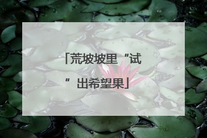 荒坡坡里“试”出希望果