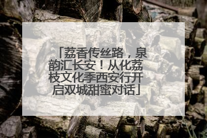 荔香传丝路，泉韵汇长安！从化荔枝文化季西安行开启双城甜蜜对话