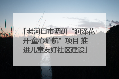 老河口市调研“润泽花开·童心护航”项目 推进儿童友好社区建设