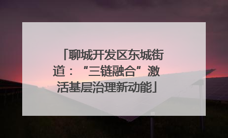 聊城开发区东城街道：“三链融合”激活基层治理新动能