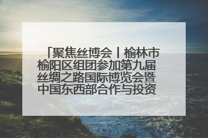 聚焦丝博会丨榆林市榆阳区组团参加第九届丝绸之路国际博览会暨中国东西部合作与投资贸易洽谈会