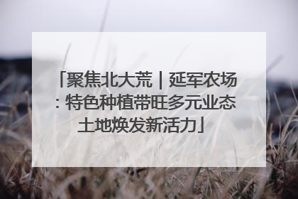 聚焦北大荒｜延军农场：特色种植带旺多元业态 土地焕发新活力