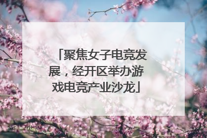 聚焦女子电竞发展，经开区举办游戏电竞产业沙龙