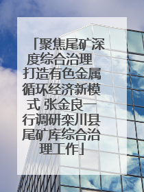 聚焦尾矿深度综合治理 打造有色金属循环经济新模式 张金良一行调研栾川县尾矿库综合治理工作