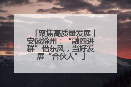 聚焦高质量发展丨安徽滁州：“融圈进群”借东风，当好发展“合伙人”