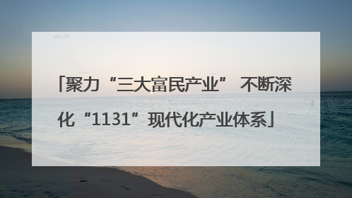 聚力“三大富民产业” 不断深化“1131”现代化产业体系