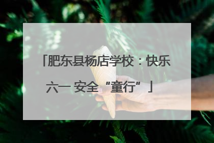 肥东县杨店学校：快乐六一 安全“童行”