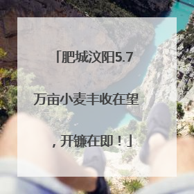 肥城汶阳5.7万亩小麦丰收在望，开镰在即！