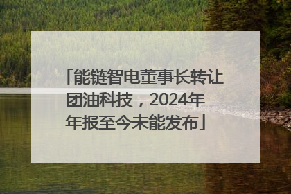 能链智电董事长转让团油科技，2024年年报至今未能发布