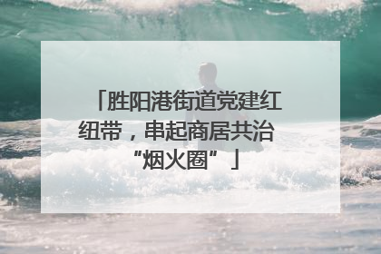 胜阳港街道党建红纽带，串起商居共治 “烟火圈”