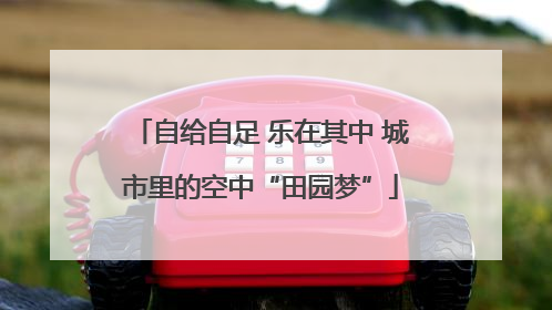 自给自足 乐在其中 城市里的空中“田园梦”