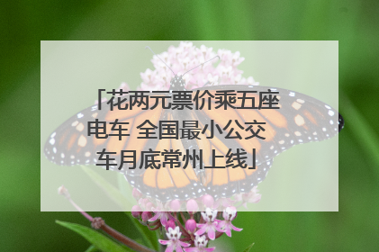 花两元票价乘五座电车 全国最小公交车月底常州上线