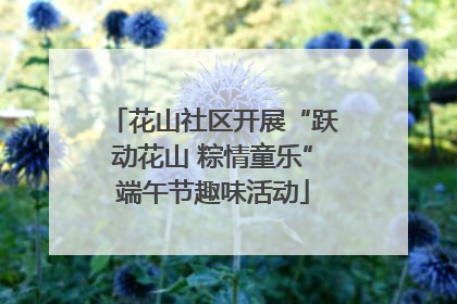 花山社区开展“跃动花山 粽情童乐”端午节趣味活动