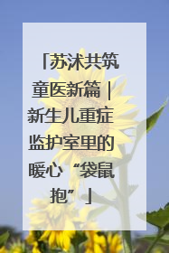 苏沭共筑童医新篇｜新生儿重症监护室里的暖心“袋鼠抱”