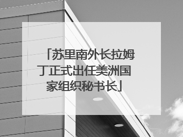 苏里南外长拉姆丁正式出任美洲国家组织秘书长
