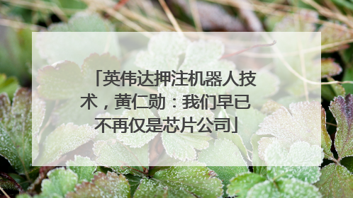 英伟达押注机器人技术，黄仁勋：我们早已不再仅是芯片公司