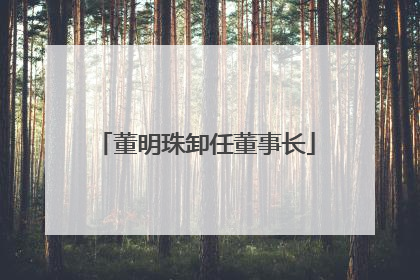 董明珠卸任董事长
