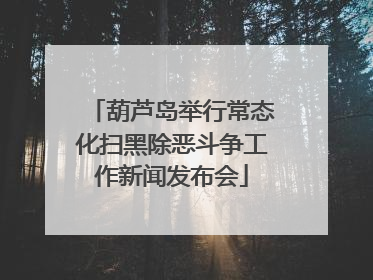 葫芦岛举行常态化扫黑除恶斗争工作新闻发布会