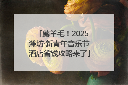 薅羊毛！2025潍坊·新青年音乐节酒店省钱攻略来了