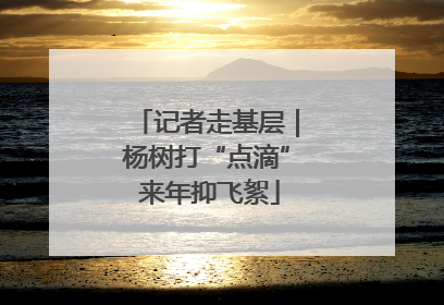 记者走基层｜杨树打“点滴” 来年抑飞絮