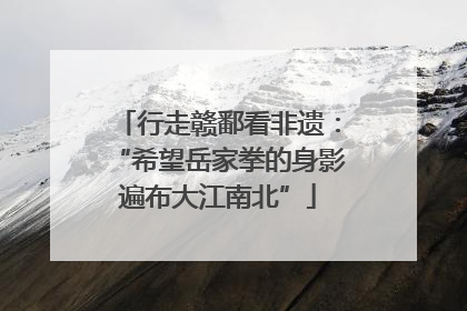 行走赣鄱看非遗：“希望岳家拳的身影遍布大江南北”