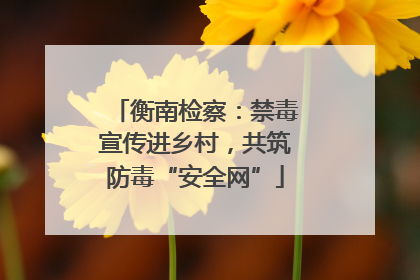 衡南检察：禁毒宣传进乡村，共筑防毒“安全网”