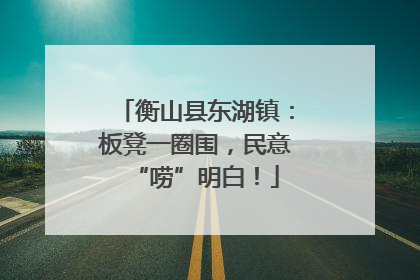 衡山县东湖镇：板凳一圈围，民意“唠”明白！