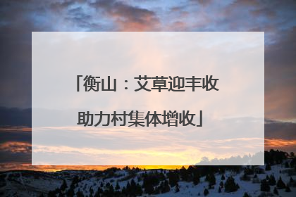 衡山：艾草迎丰收 助力村集体增收
