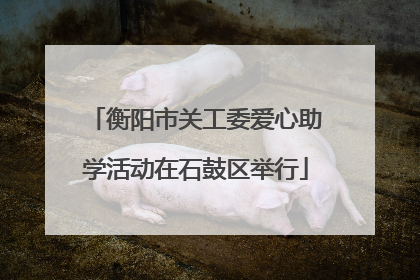衡阳市关工委爱心助学活动在石鼓区举行