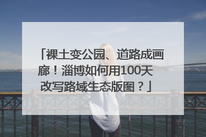 裸土变公园、道路成画廊！淄博如何用100天改写路域生态版图？
