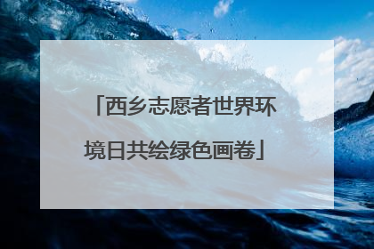 西乡志愿者世界环境日共绘绿色画卷