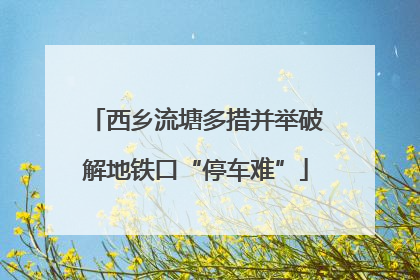 西乡流塘多措并举破解地铁口“停车难”