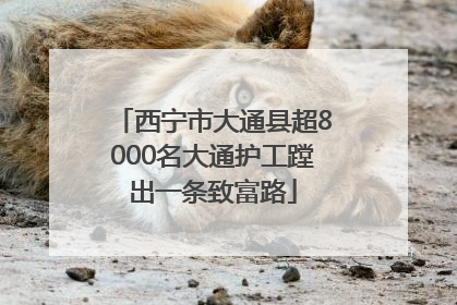 西宁市大通县超8000名大通护工蹚出一条致富路