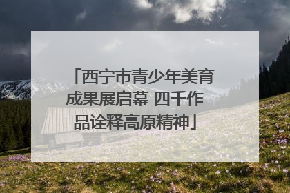 西宁市青少年美育成果展启幕 四千作品诠释高原精神