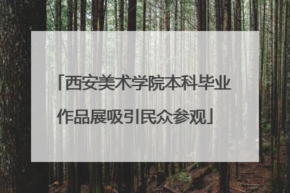 西安美术学院本科毕业作品展吸引民众参观