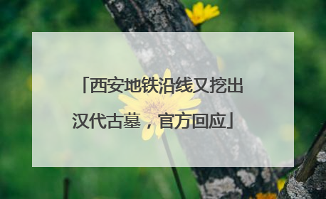 西安地铁沿线又挖出汉代古墓，官方回应
