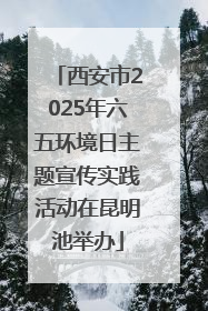 西安市2025年六五环境日主题宣传实践活动在昆明池举办