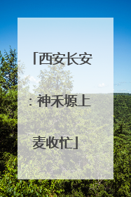 西安长安：神禾塬上麦收忙