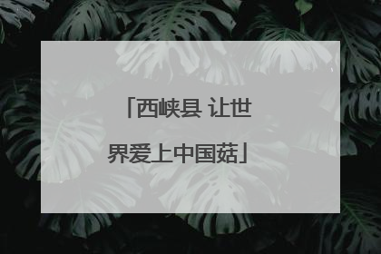 西峡县 让世界爱上中国菇