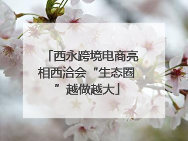 西永跨境电商亮相西洽会“生态圈”越做越大