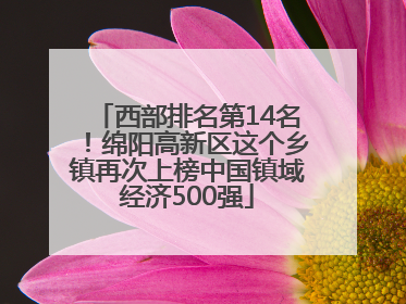 西部排名第14名！绵阳高新区这个乡镇再次上榜中国镇域经济500强